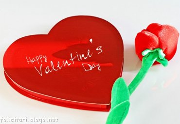 Happy Valentine`s Day!